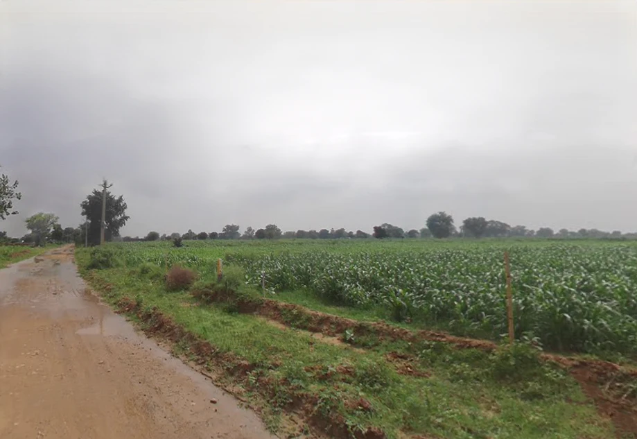 4PCP+QV4, Kiraoli, Korai, Uttar Pradesh 283110, India