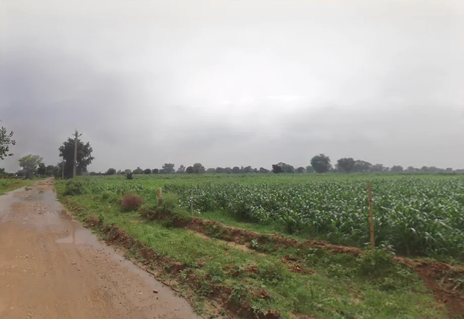 4PCP+QV4, Kiraoli, Korai, Uttar Pradesh 283110, India preview 2