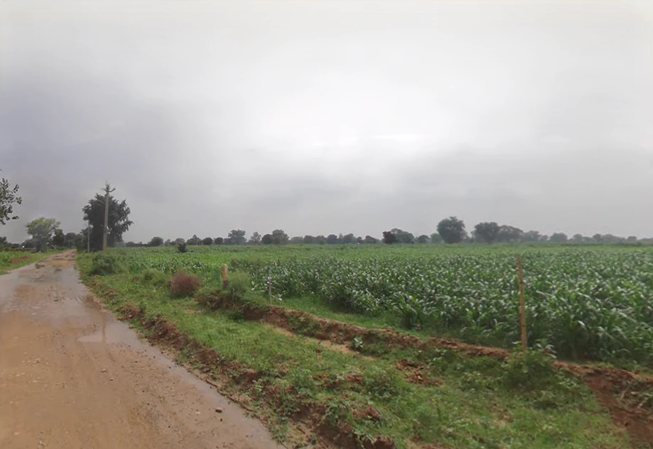 4PCP+QV4, Kiraoli, Korai, Uttar Pradesh 283110, India