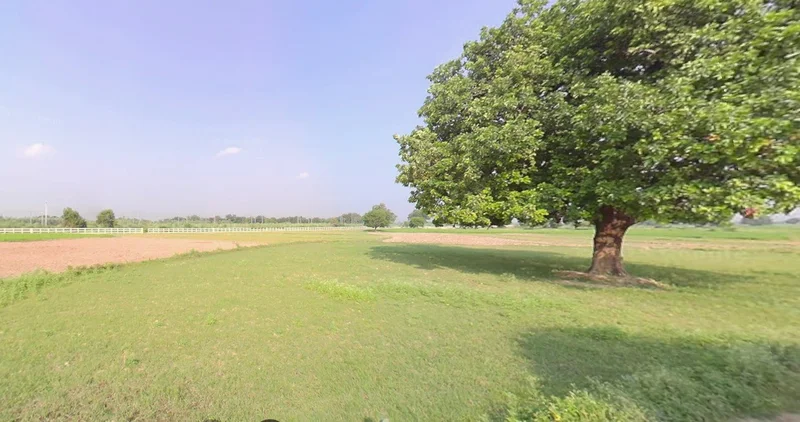 Gogawan, Madhya Pradesh 451335, India preview 3