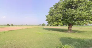 Gogawan, Madhya Pradesh 451335, India preview 3