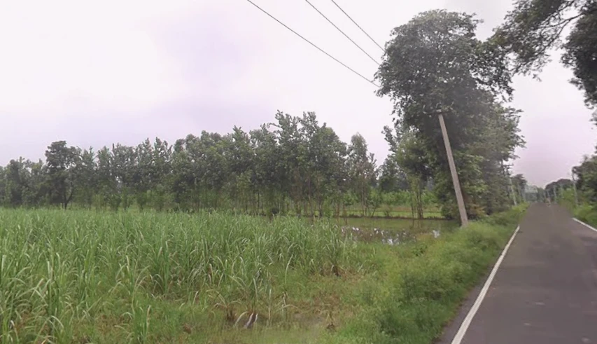 Pandoli, Uttar Pradesh, India