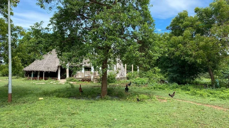 Sivaganga, Tamil Nadu 630561, India preview 2