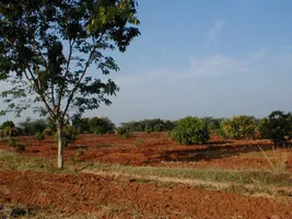 Sivaganga, Tamil Nadu 630561, India preview 3