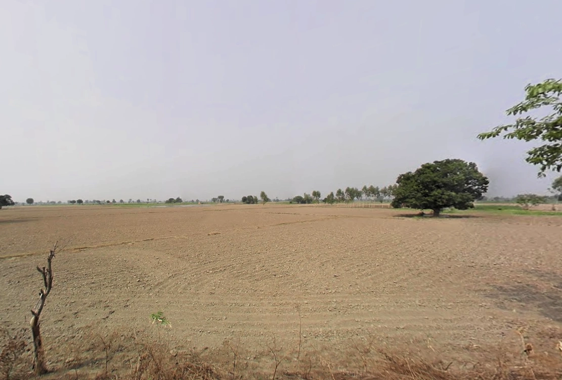 Jalalpur, Haryana 132104, India