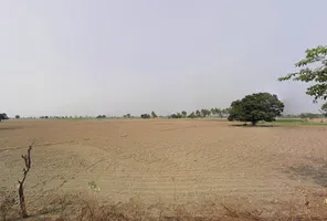 Jalalpur, Haryana 132104, India preview 3