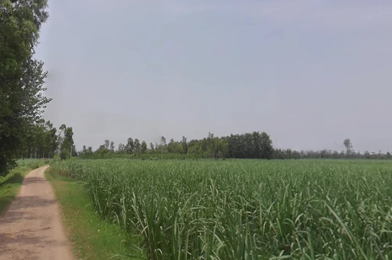Datiyana, Uttar Pradesh, India