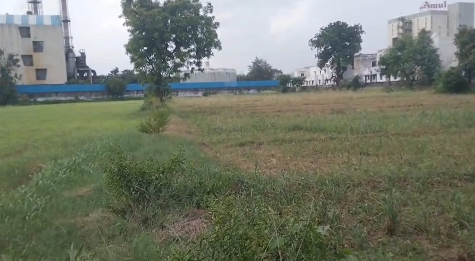GXX4+33X, GJ SH 237, Boriya Khurad, Gujarat 383006, India