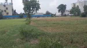 GXX4+33X, GJ SH 237, Boriya Khurad, Gujarat 383006, India preview 3