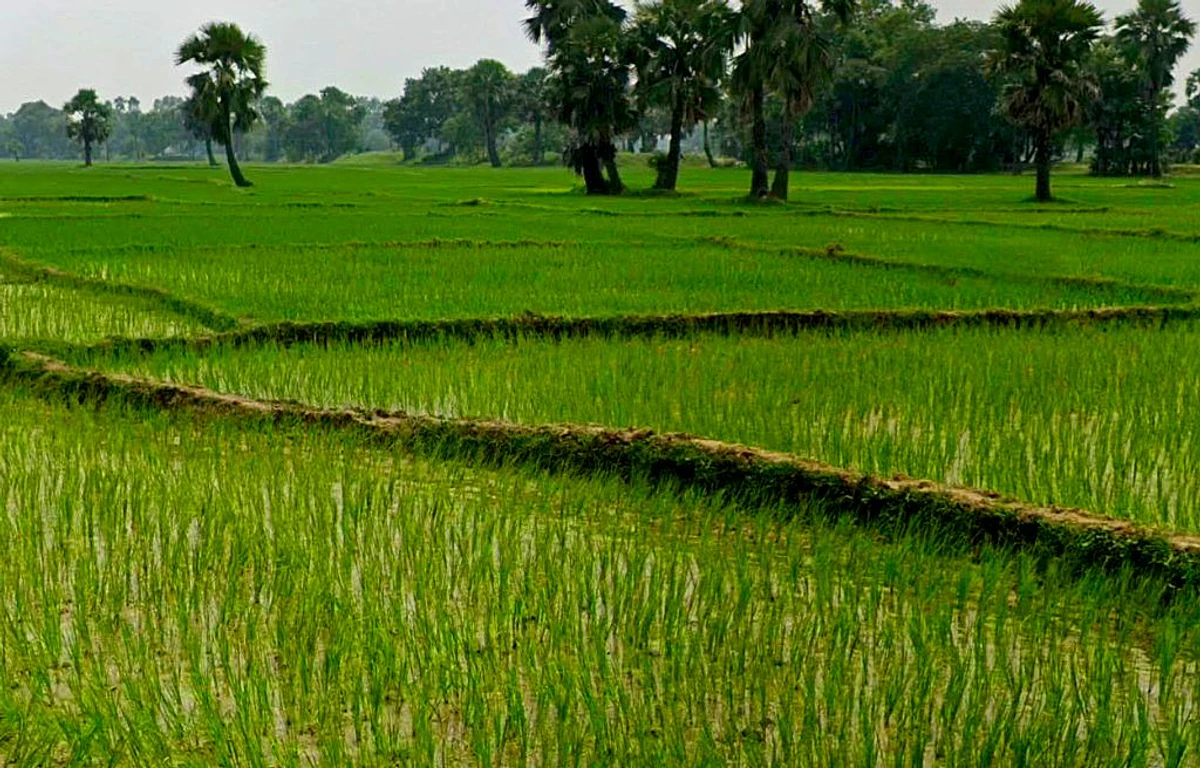 Bilaspur - Marwahi Bypass Rd, Balbahara, Chhattisgarh 495118, India