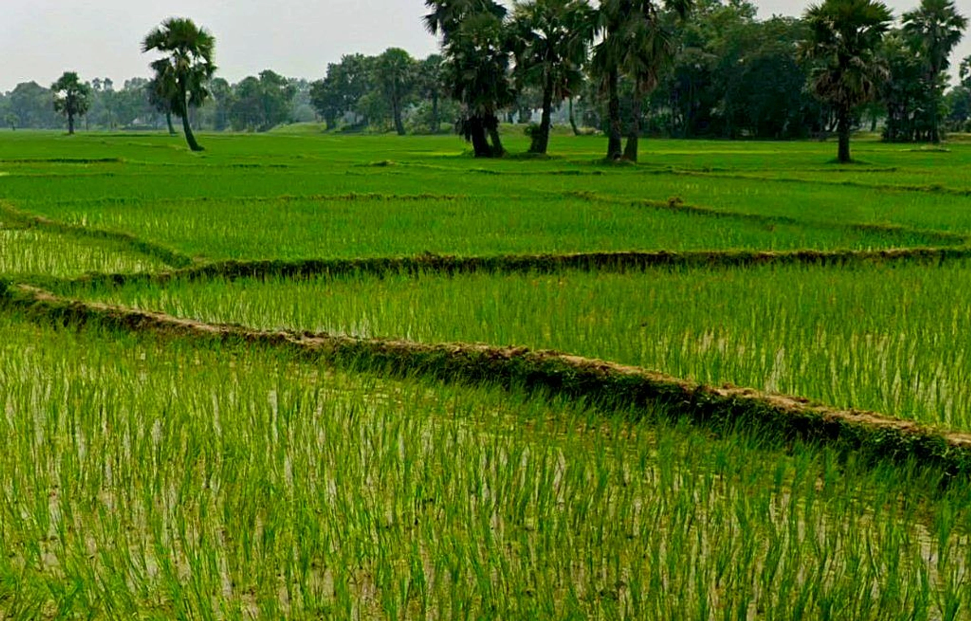 Bilaspur - Marwahi Bypass Rd, Balbahara, Chhattisgarh 495118, India