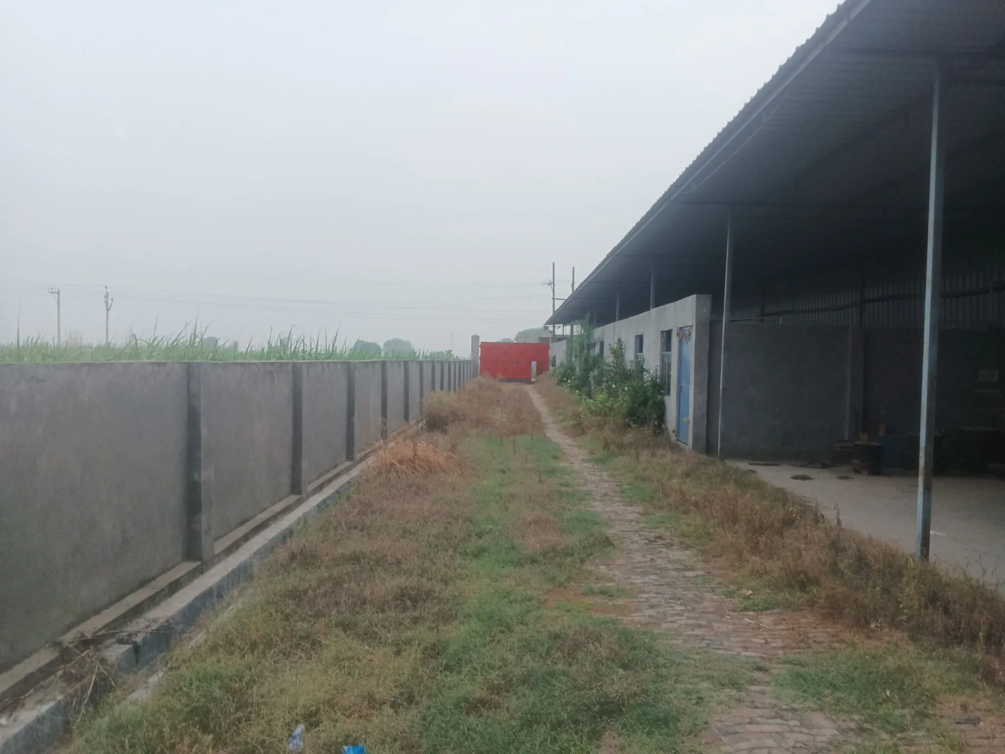 Rewri Rewra, Ghaziabad, Uttar Pradesh 201206, India - Photo 2