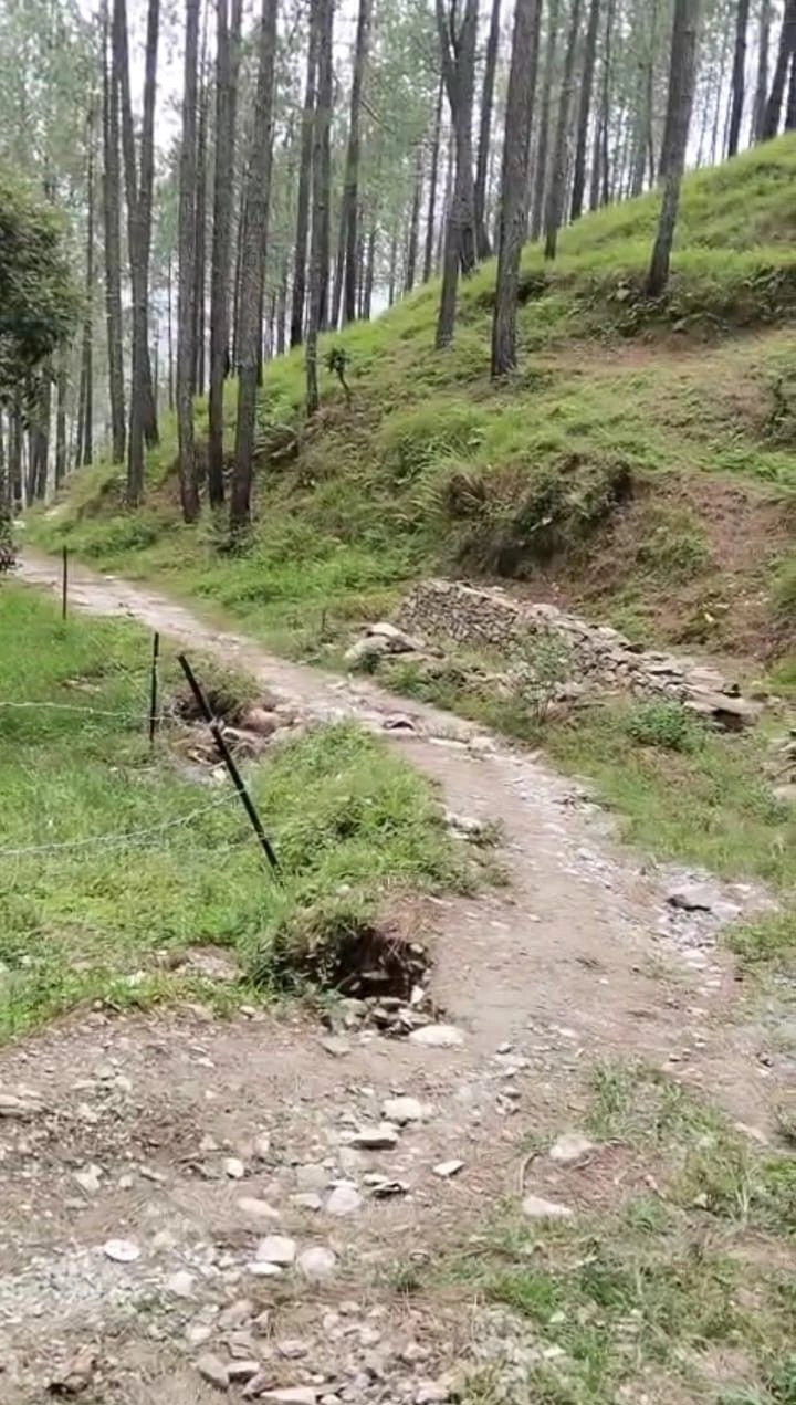 9JMH+XVW, Nainital, Ladfora Malla, Uttarakhand 263136, India
