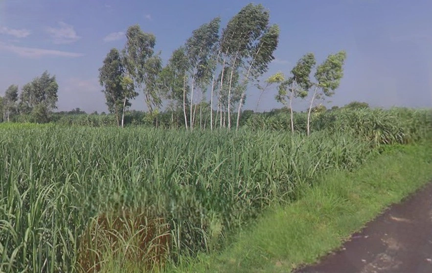 Jansath - Muzaffarnagar Rd, Uttar Pradesh, India