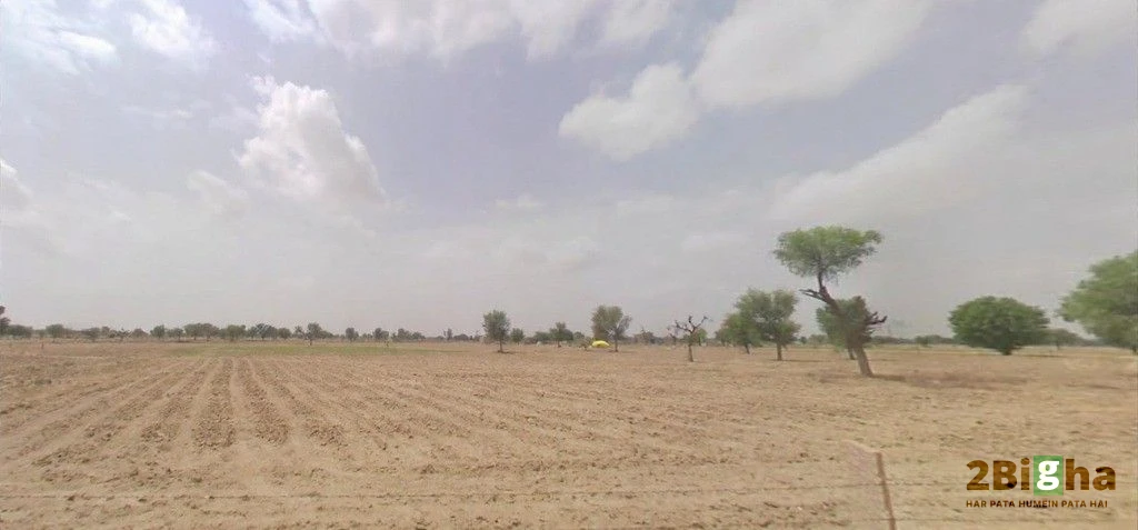 Bhanawatawala, Rajasthan 334808, India