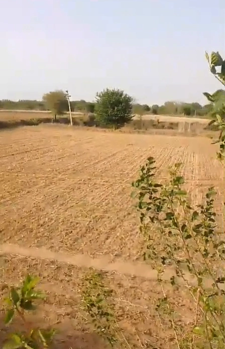 FPM6+34M, Alwar, Kherli Saiyad, Rajasthan, India