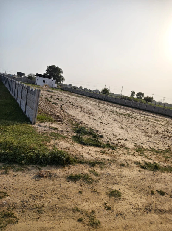 7346+MM Ranau Raham Alipur, Bulandshahr, Uttar Pradesh, India