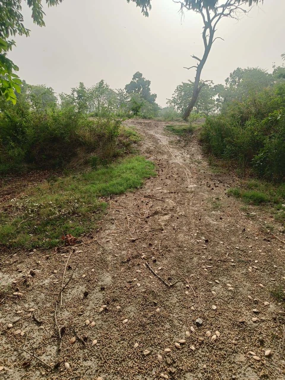 Aou, Rajasthan, India