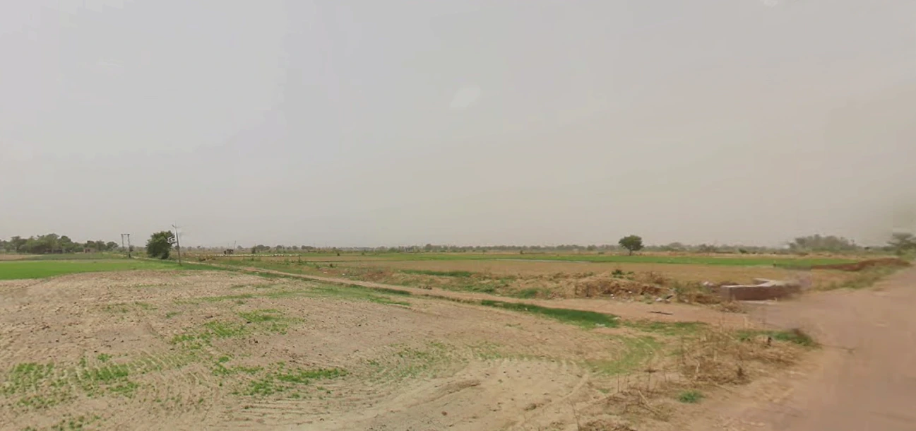 Kaimri, Haryana 125005, India