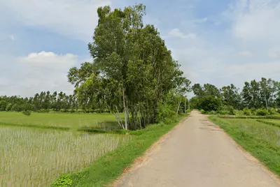 Hamirpur, Uttar Pradesh, India preview 3