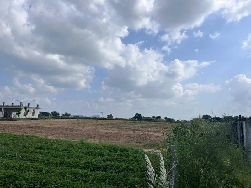 WMJC+W5C, Barau Rd, Rasoolpur, Rajasthan 333020, India preview 2