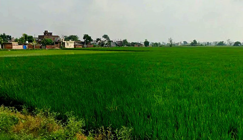 PG7P+J69, Simga - Kawardha Rd, Berla, Bemetara, Chhattisgarh 491335, India preview 3