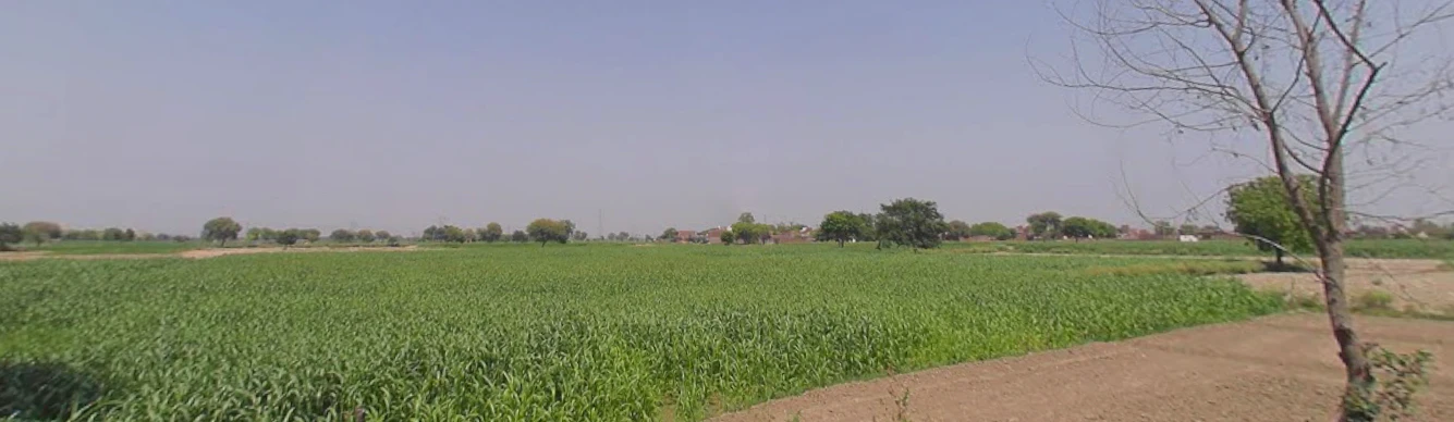 Salarpur, Haryana 125055, India