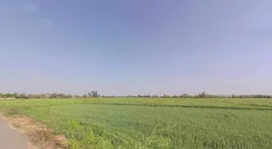 Maujpur, Rajasthan, India preview 2