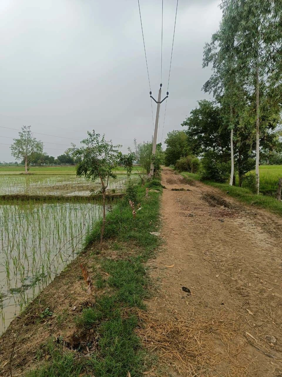 Bukharari, Mathura, Uttar Pradesh, India