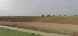 Ujjain, Madhya Pradesh, India preview 3