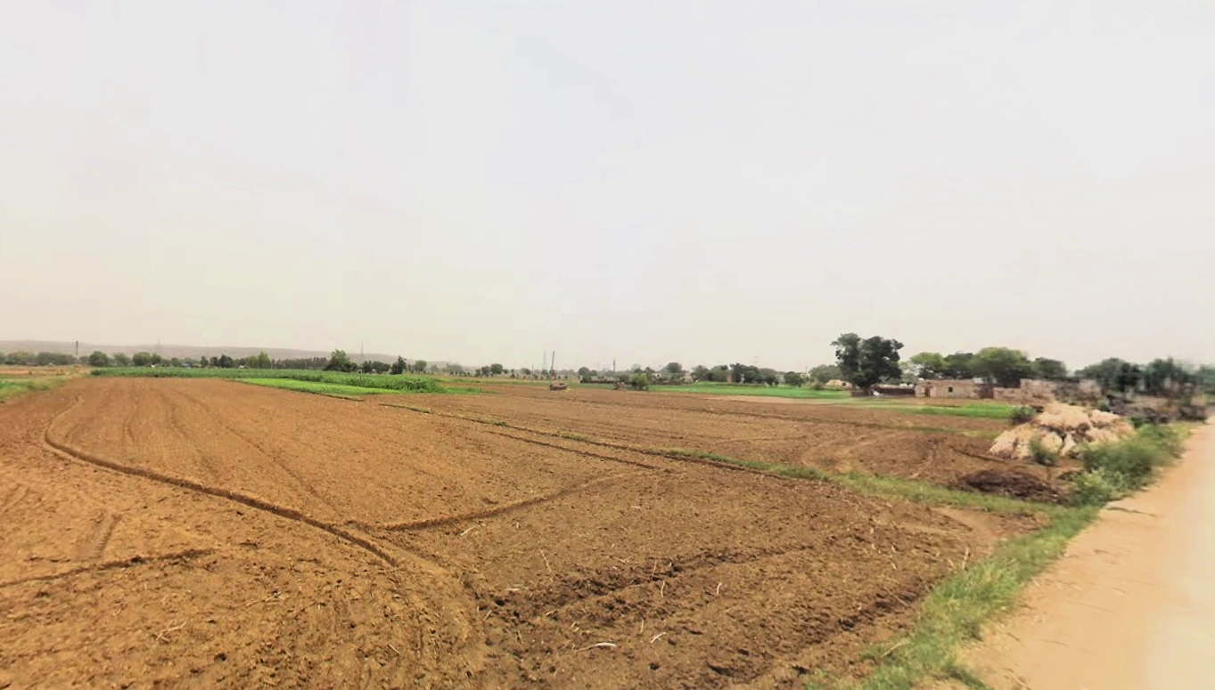 Raiseena, Haryana 122102, India