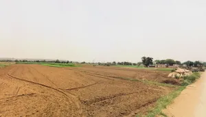 Raiseena, Haryana 122102, India preview 2