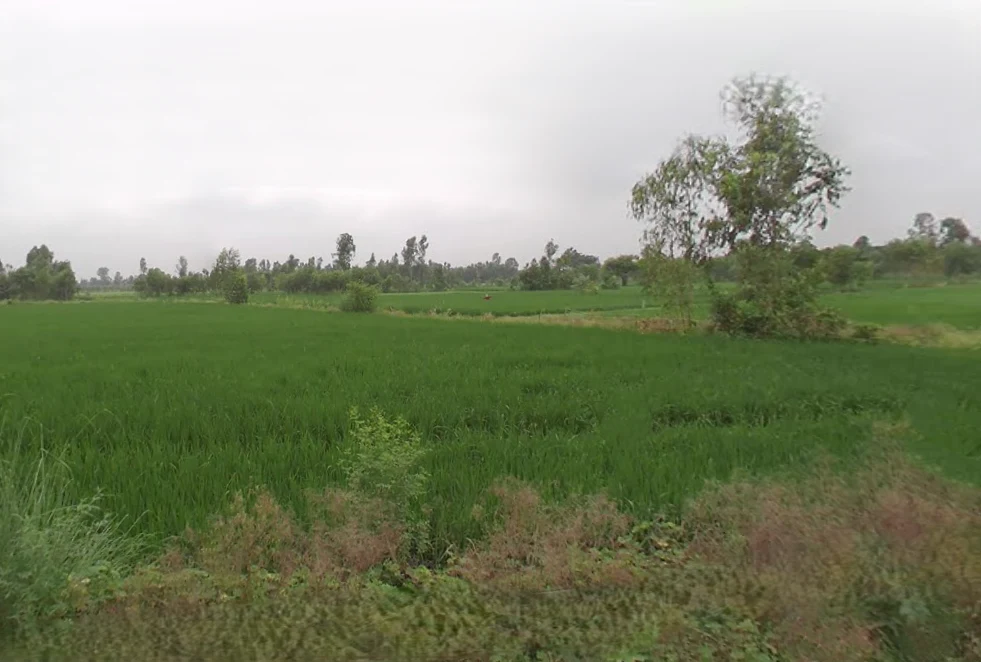 Shahabad, Uttar Pradesh 244922, India preview 3