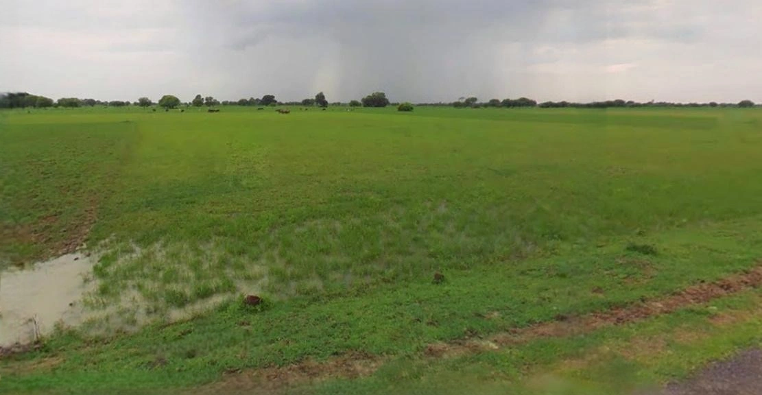 Khachrod, Madhya Pradesh 456224, India