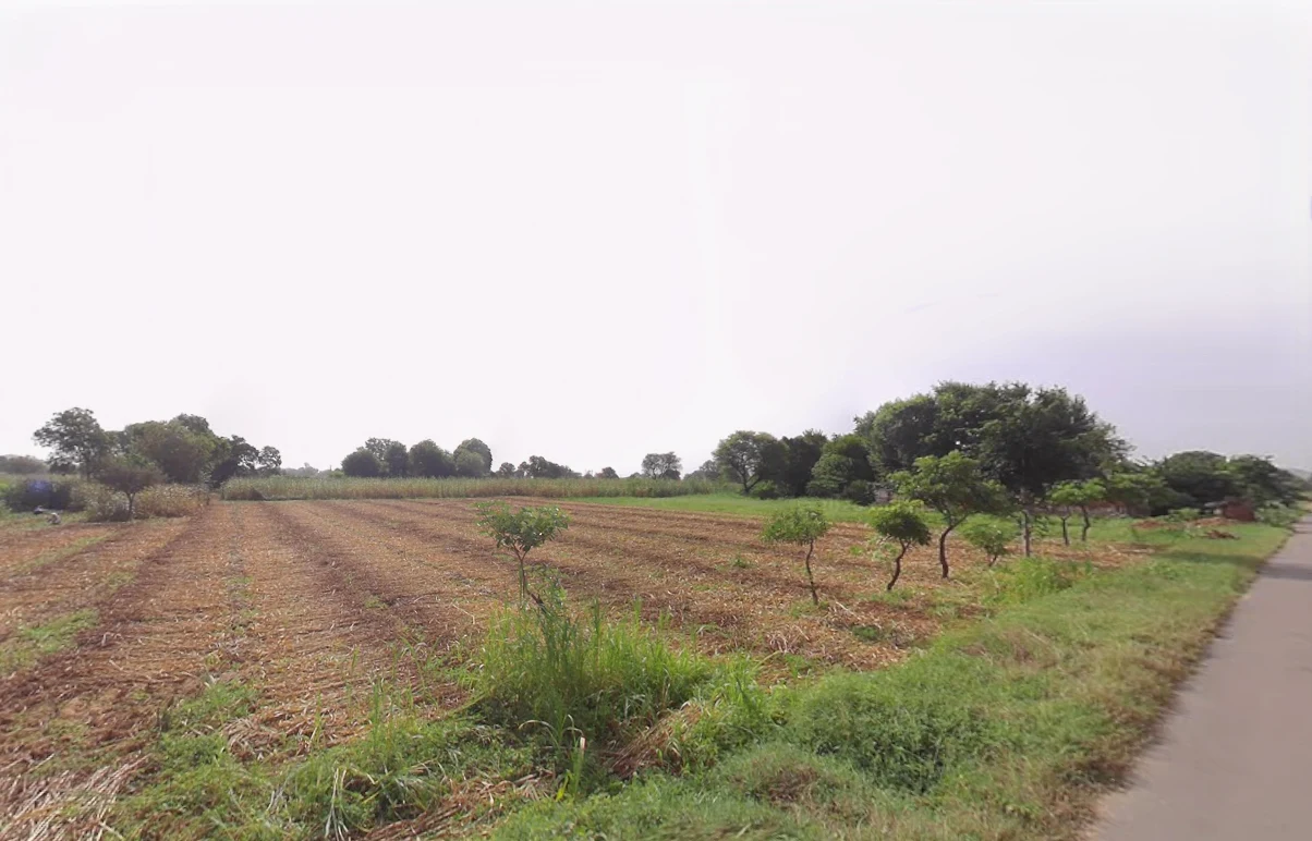 Dahina, Haryana 123411, India