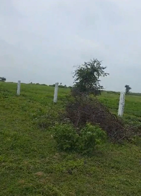 464V+R8R, Ratlam, Simlaoda, Madhya Pradesh, India