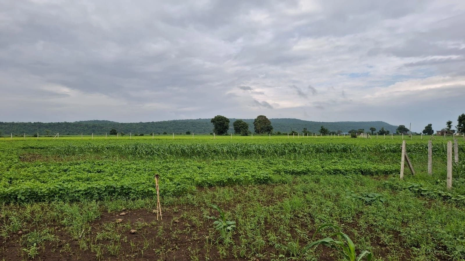 38P3+JFQ, Sehore, Khari, Madhya Pradesh 466111, India preview 2