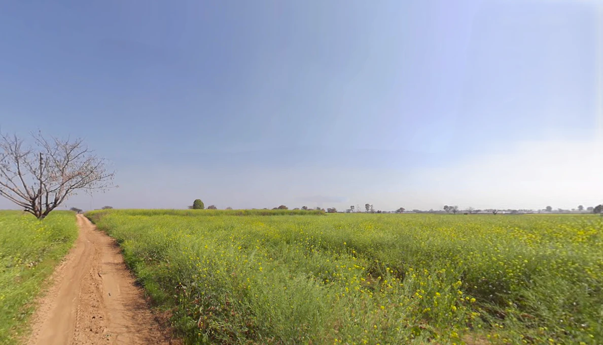 Raiya, Haryana 124103, India