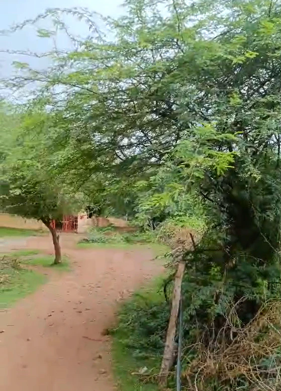 J36H+J4 Nimkhera, Bundi, India
