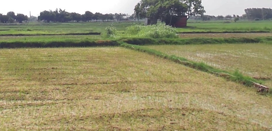 Borda, Madhya Pradesh, India