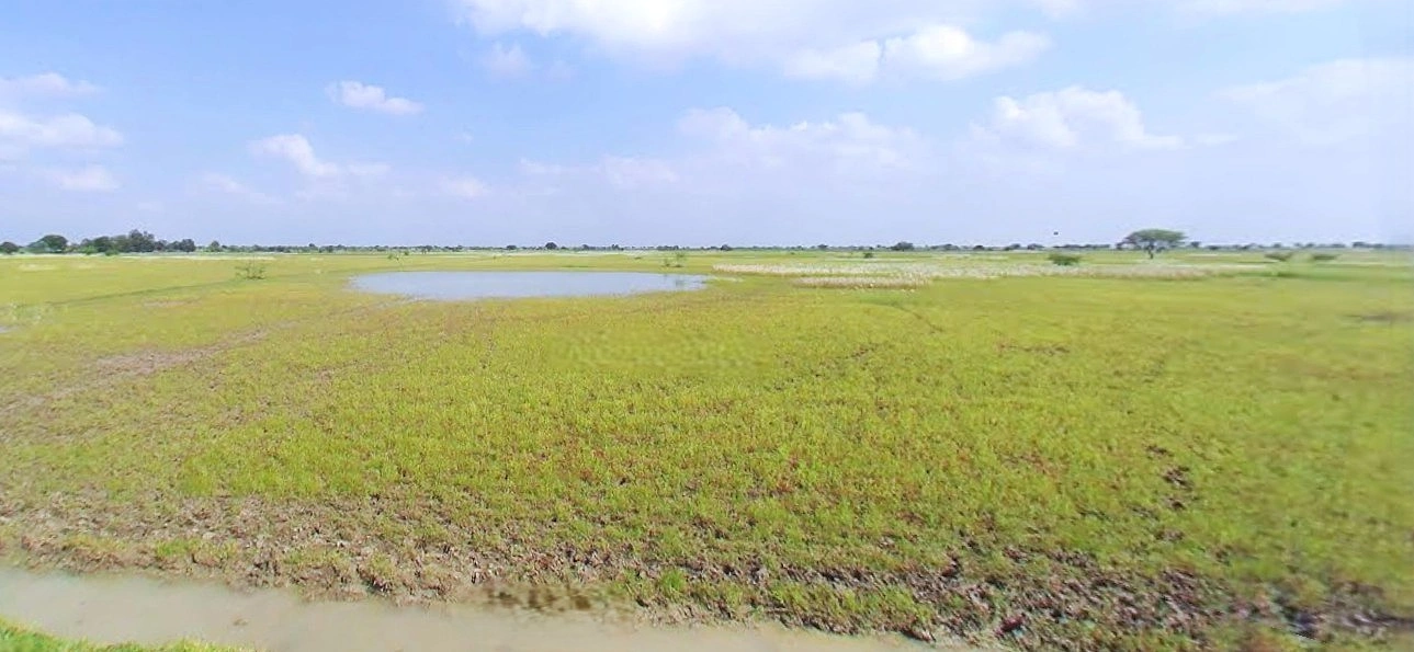 Bijnor, Uttar Pradesh 246701, India