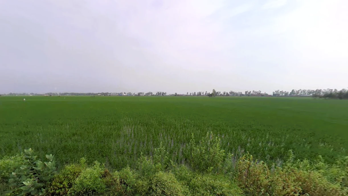 Assandh, Haryana 132039, India