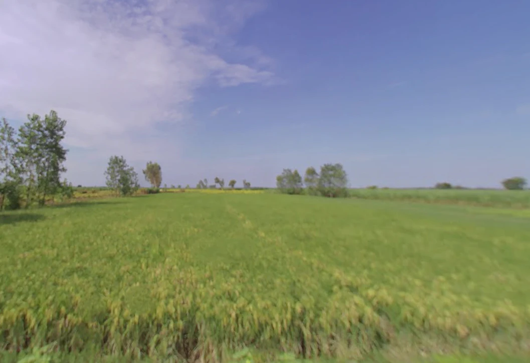 Dhanaura, Uttar Pradesh 244231, India