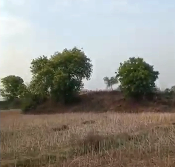 Kosrangi, Chhattisgarh 493225, India