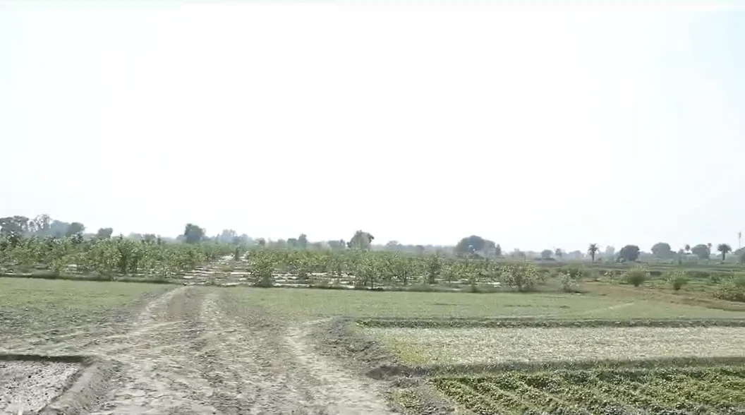 Gangapur, Uttar Pradesh 243638, India