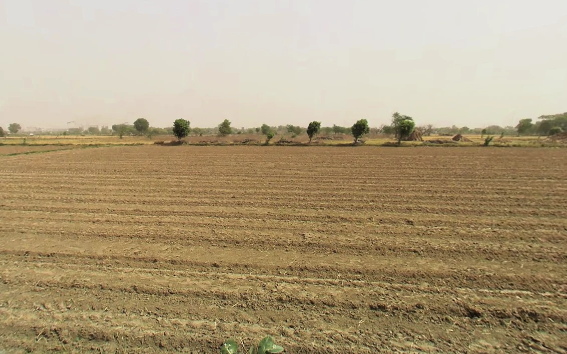Pirthla, Haryana, India
