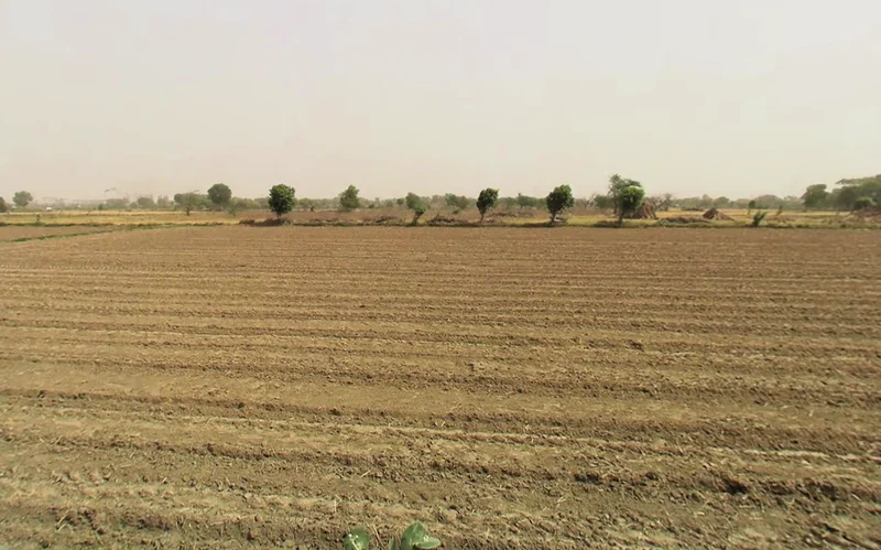 Pirthla, Haryana, India preview 3