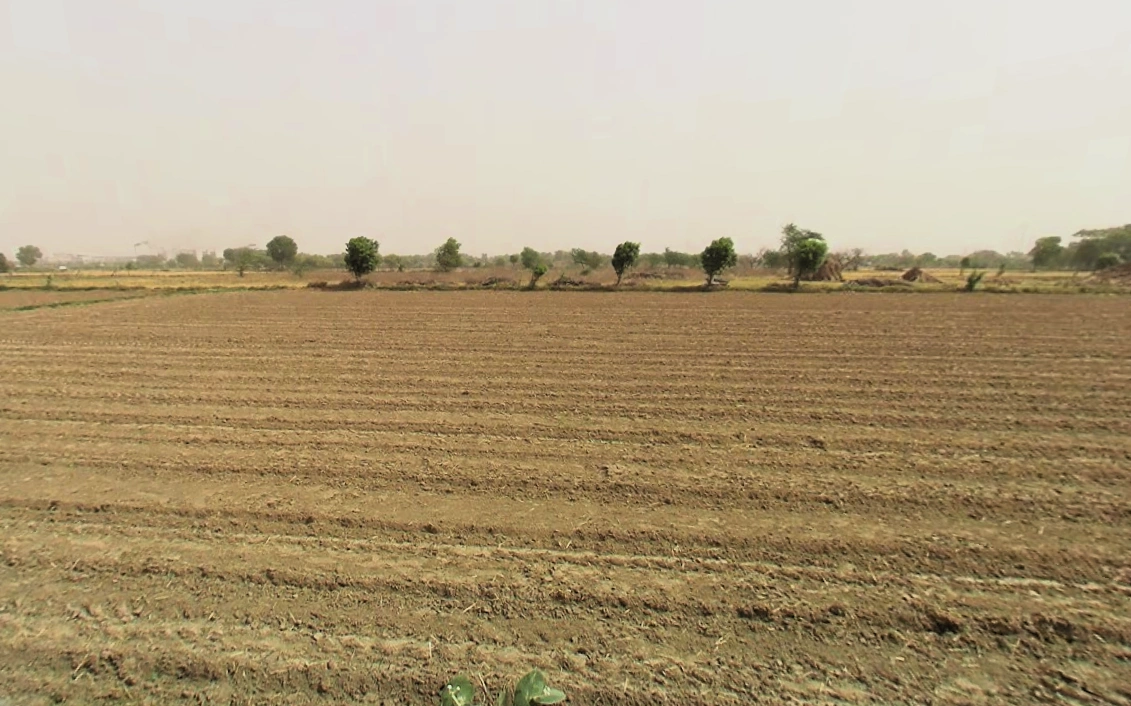 Pirthla, Haryana, India