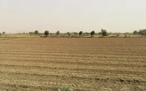 Pirthla, Haryana, India preview 3
