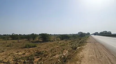 7Q56+J3G, Alwar, Pinan, Rajasthan 301413, India preview 2